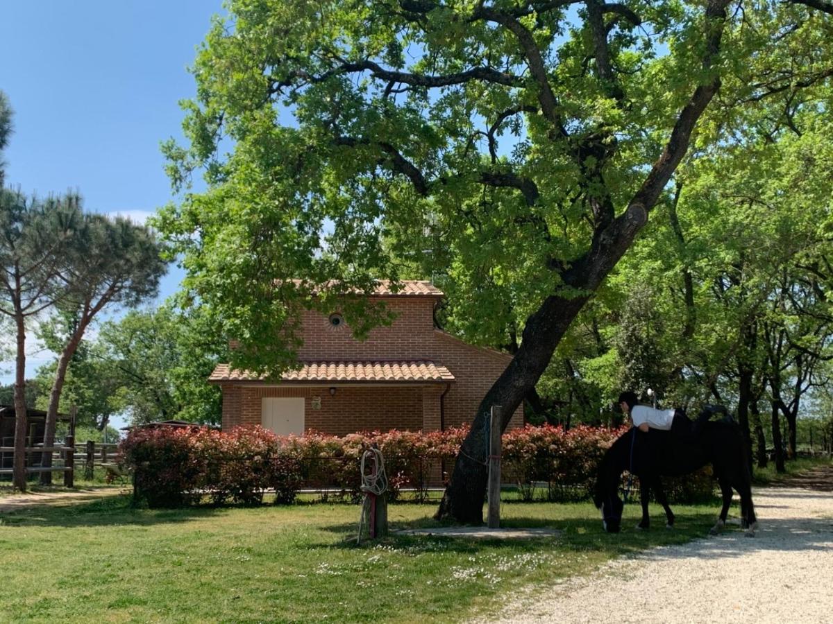 Casina Miriano Villa Castiglione del Lago Exterior foto
